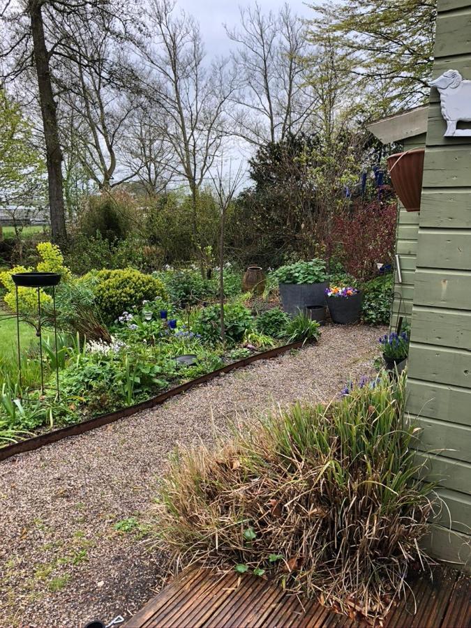 Beemster Tiny House Bed and Breakfast Zuidoostbeemster Eksteriør billede