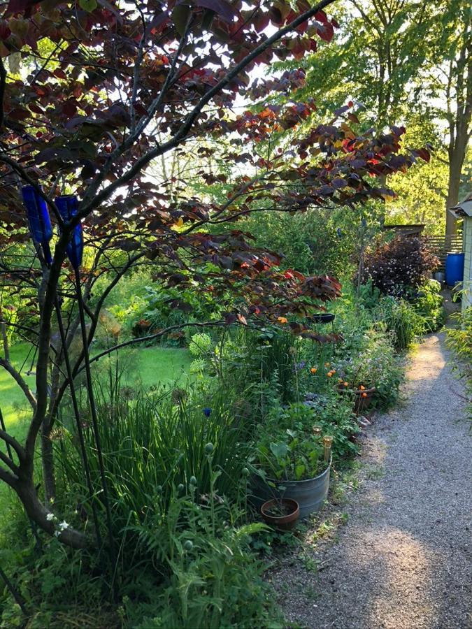 Beemster Tiny House Bed and Breakfast Zuidoostbeemster Eksteriør billede