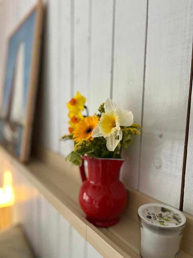 Beemster Tiny House Bed and Breakfast Zuidoostbeemster Eksteriør billede